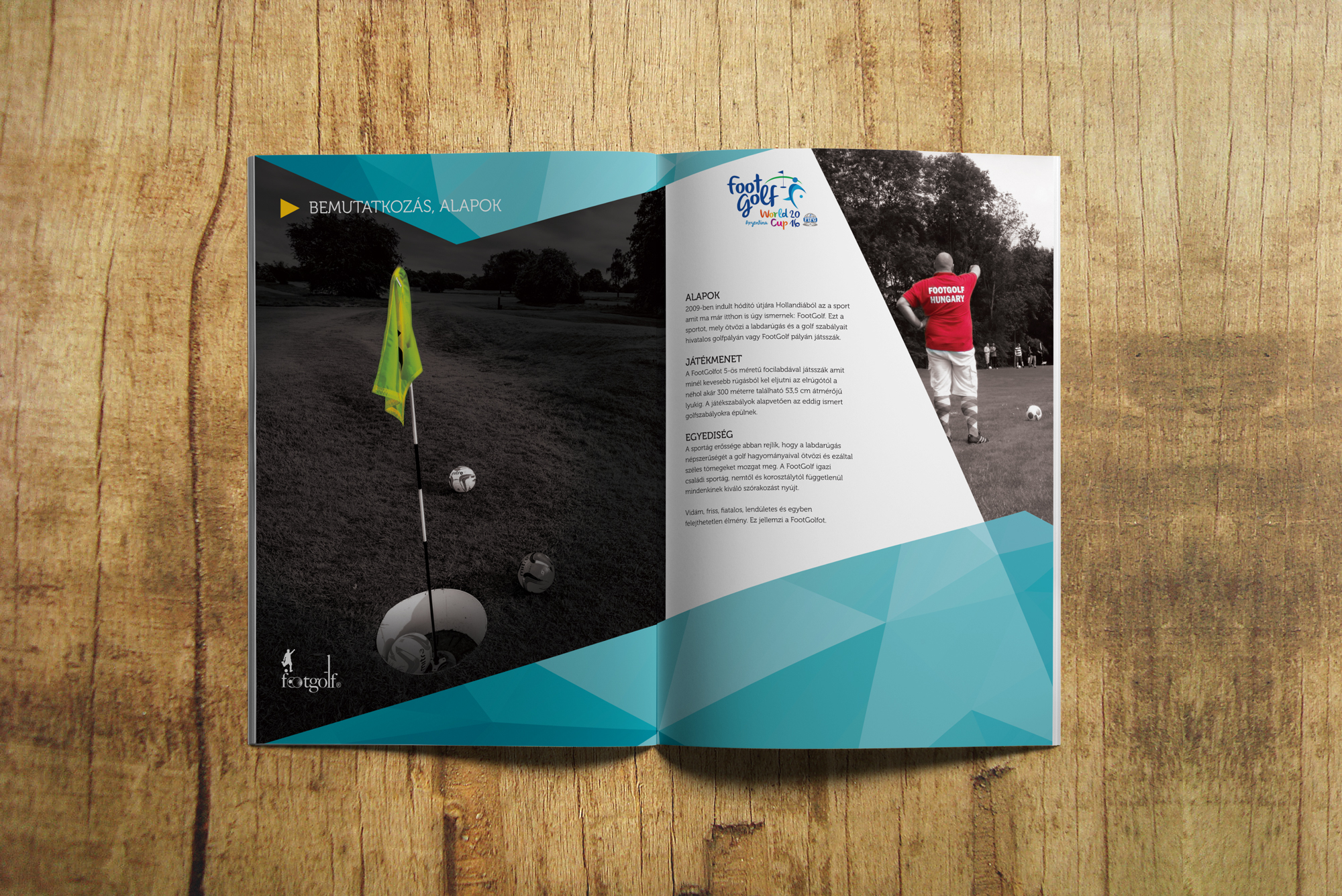 brochure_A4_mfgsz_argentina